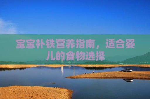 宝宝补铁营养指南，适合婴儿的食物选择