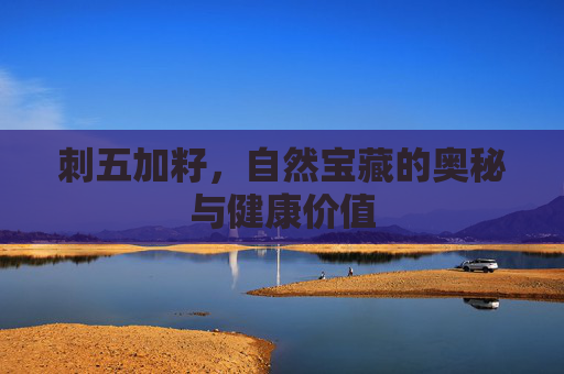 刺五加籽,自然宝藏的奥秘与健康价值 刺五加籽,自然宝藏的奥秘与健康价值