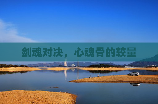 剑魂对决，心魂骨的较量