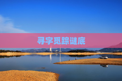 寻字觅踪谜底 寻字觅踪谜底