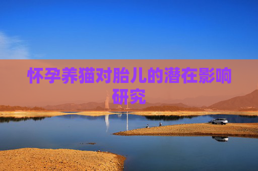 怀孕养猫对胎儿的潜在影响研究