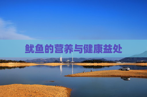 鱿鱼的营养与健康益处