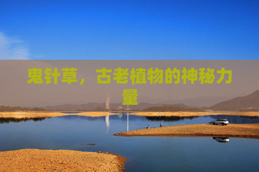 鬼针草，古老植物的神秘力量