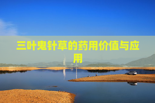 三叶鬼针草的药用价值与应用 三叶鬼针草的药用价值与应用