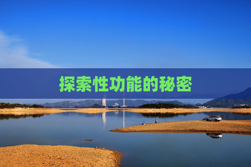 探索性功能的秘密 探索性功能的秘密