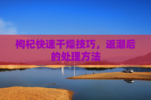 枸杞快速干燥技巧,返潮后的处理方法 枸杞快速干燥技巧,返潮后的处理方法