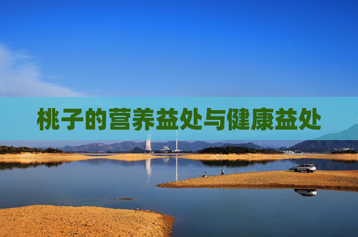 桃子的营养益处与健康益处 桃子的营养益处与健康益处