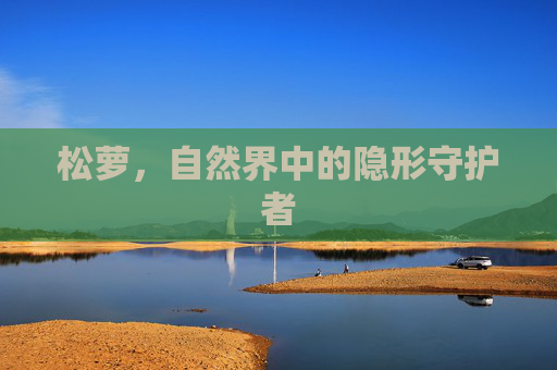 松萝,自然界中的隐形守护者 松萝,自然界中的隐形守护者