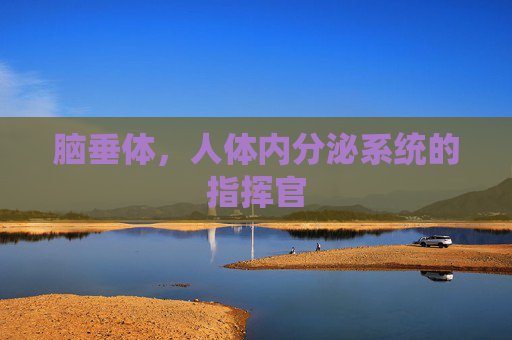 脑垂体，人体内分泌系统的指挥官
