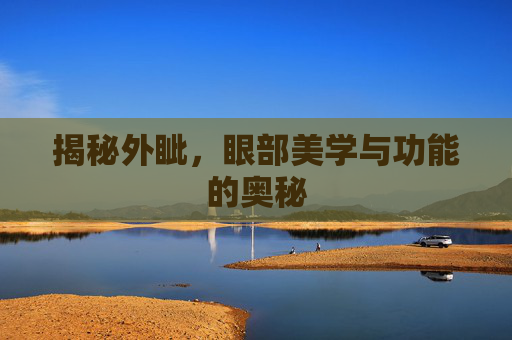 揭秘外眦,眼部美学与功能的奥秘 揭秘外眦,眼部美学与功能的奥秘