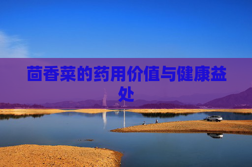 茴香菜的药用价值与健康益处