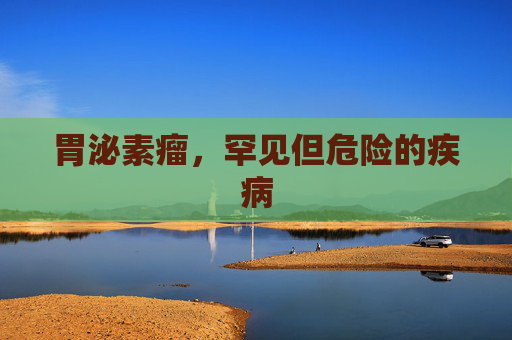 胃泌素瘤,罕见但危险的疾病 胃泌素瘤,罕见但危险的疾病