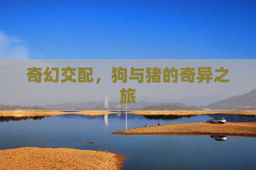 奇幻交配，狗与猪的奇异之旅