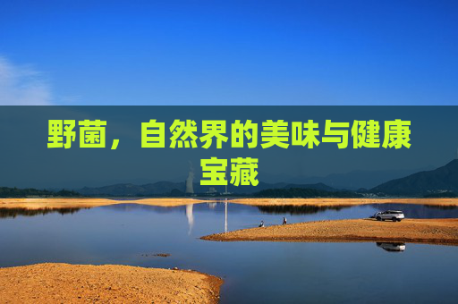 野菌，自然界的美味与健康宝藏