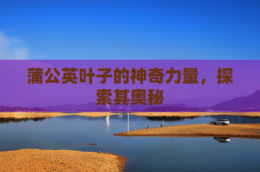 蒲公英叶子的神奇力量，探索其奥秘