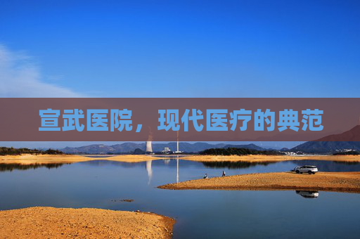 宣武医院，现代医疗的典范