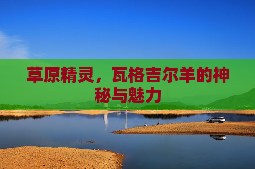 草原精灵，瓦格吉尔羊的神秘与魅力