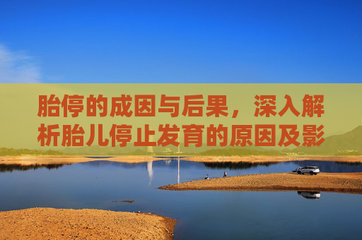 胎停的成因与后果，深入解析胎儿停止发育的原因及影响
