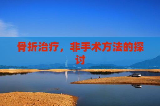 骨折治疗,非手术方法的探讨 骨折治疗,非手术方法的探讨