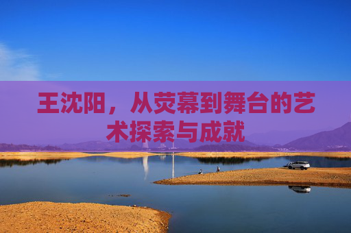 王沈阳,从荧幕到舞台的艺术探索与成就 王沈阳,从荧幕到舞台的艺术探索与成就