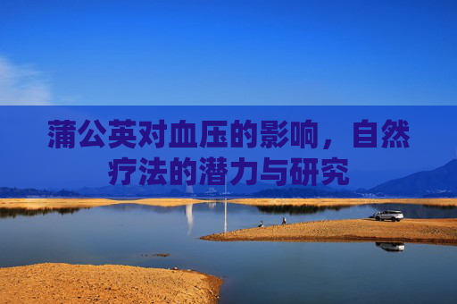 蒲公英对血压的影响,自然疗法的潜力与研究 蒲公英对血压的影响,自然疗法的潜力与研究