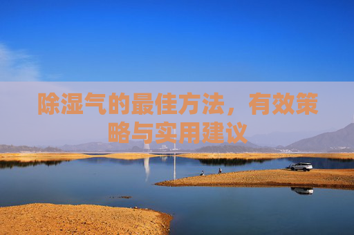 除湿气的最佳方法,有效策略与实用建议 除湿气的最佳方法,有效策略与实用建议