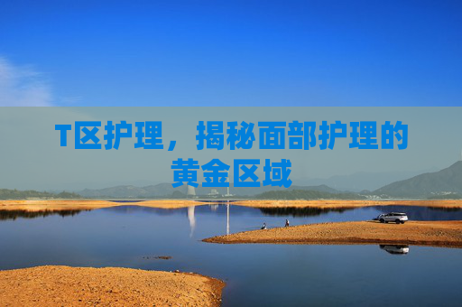 T区护理,揭秘面部护理的黄金区域 T区护理,揭秘面部护理的黄金区域