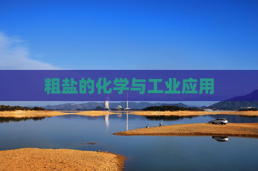 粗盐的化学与工业应用