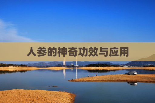 人参的神奇功效与应用