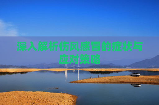 深入解析伤风感冒的症状与应对策略