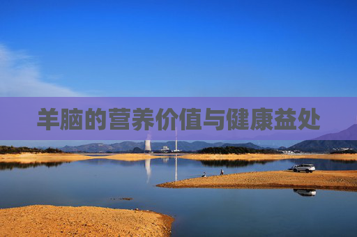 羊脑的营养价值与健康益处