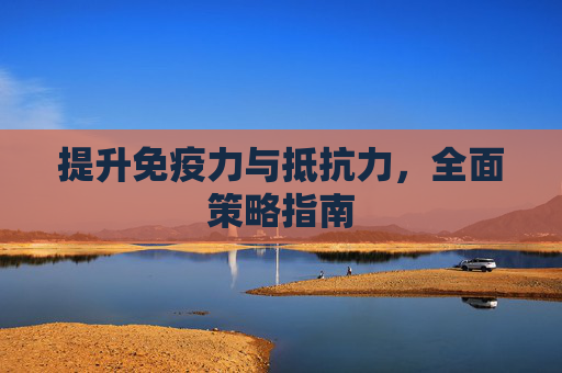提升免疫力与抵抗力，全面策略指南