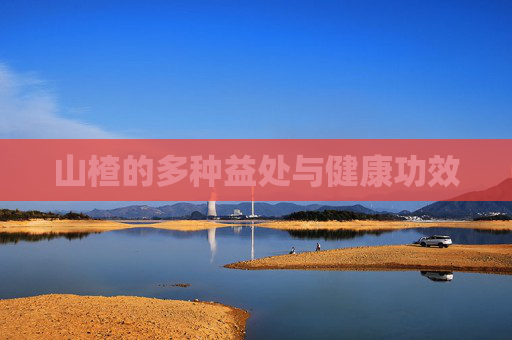 山楂的多种益处与健康功效