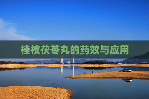 桂枝茯苓丸的药效与应用