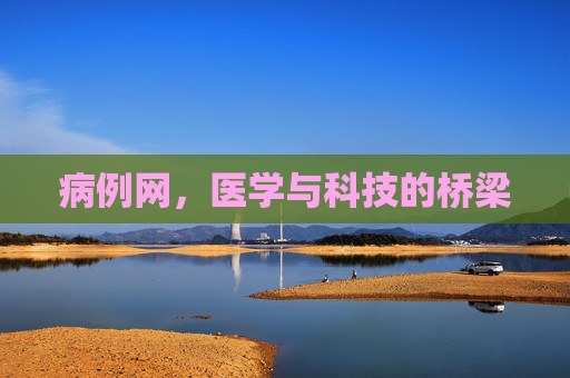 病例网，医学与科技的桥梁