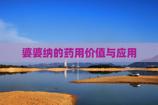 婆婆纳的药用价值与应用