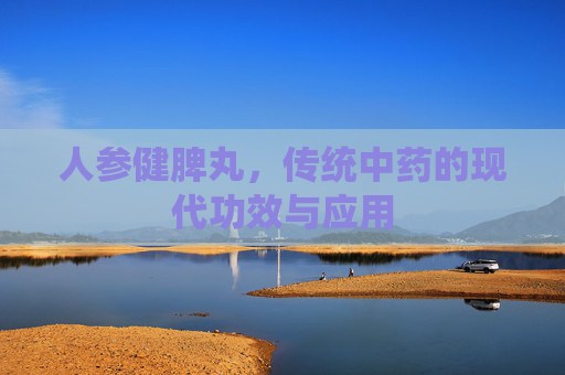 人参健脾丸，传统中药的现代功效与应用