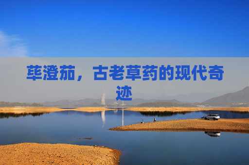 荜澄茄，古老草药的现代奇迹