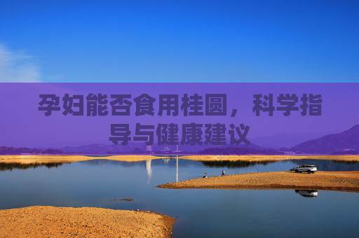 孕妇能否食用桂圆，科学指导与健康建议