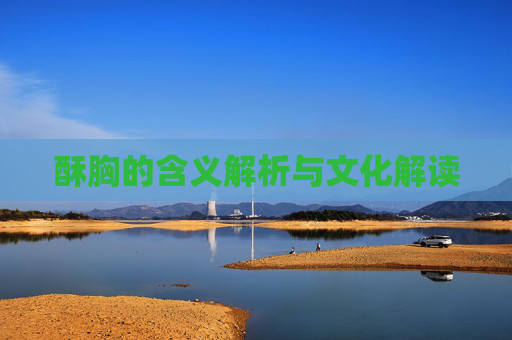 酥胸的含义解析与文化解读