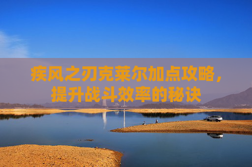 疾风之刃克莱尔加点攻略，提升战斗效率的秘诀