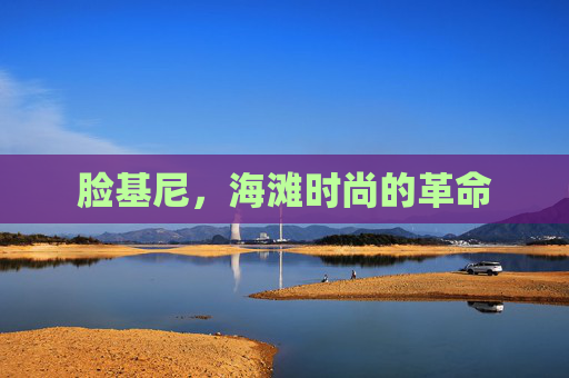 脸基尼，海滩时尚的革命