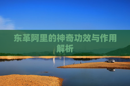东革阿里的神奇功效与作用解析