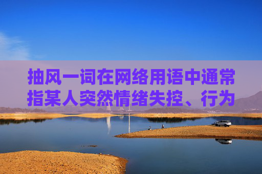 抽风一词在网络用语中通常指某人突然情绪失控、行为异常或做出不理智的决定。这个表达有时用于描述人的情绪波动，如突然大笑、大哭或者做出一些平时不会做的事情。它也可以形容人的行为举止突然变得奇怪或不可预测。