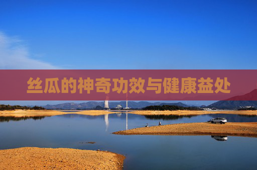 丝瓜的神奇功效与健康益处