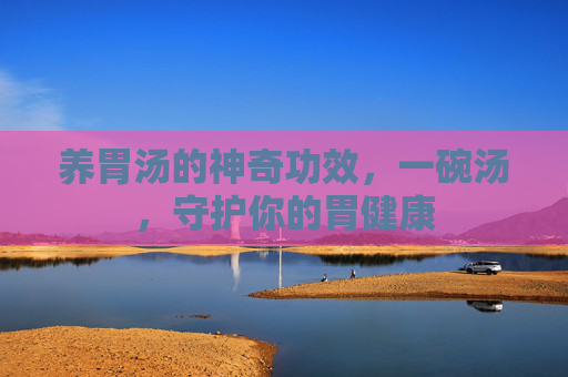 养胃汤的神奇功效,一碗汤,守护你的胃健康 养胃汤的神奇功效,一碗汤,守护你的胃健康