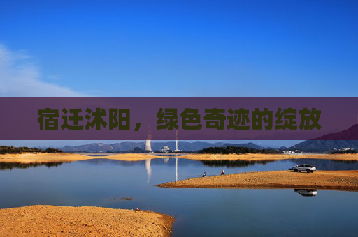 宿迁沭阳，绿色奇迹的绽放