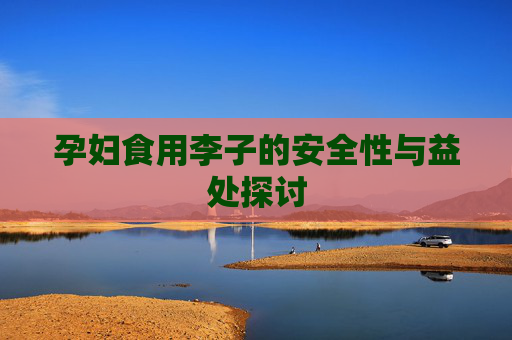 孕妇食用李子的安全性与益处探讨