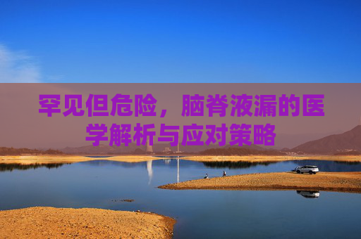 罕见但危险，脑脊液漏的医学解析与应对策略