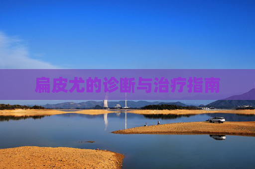 扁皮尤的诊断与治疗指南 扁皮尤的诊断与治疗指南